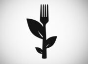 How To Start A Plant Based Diet