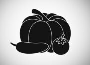 Why we need to eat more fiber