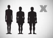 The Myth of Body Types