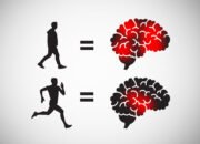 Exercise Intensity Effect on Brain Function