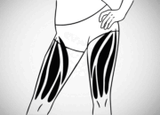 How To Make Your Legs Stronger