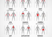 What muscles do and how to train them