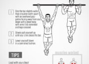 Pull-Ups Guide