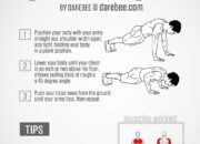 Push-Ups Guide