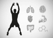 What Happens When We Exercise